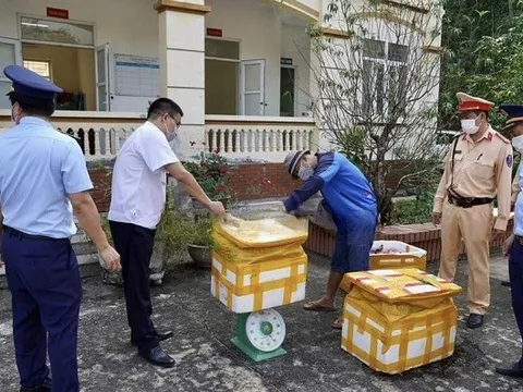 Hoà Bình: Bắt giữ 1,2 tấn nội tạng động vật không rõ nguồn gốc