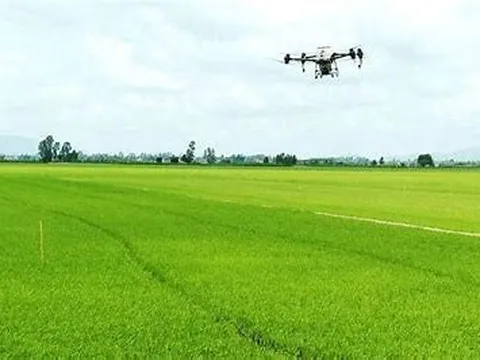 Nhiều xu hướng mới trong sử dụng thuốc BVTV an toàn cho cây trồng