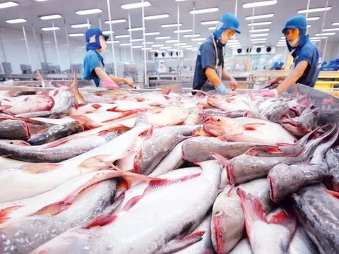 Hợp tác thương mại Việt Nam-Brazil hướng tới ổn định, bền vững