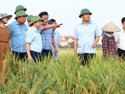 Thành tựu 70 năm hình thành và phát triển của nông nghiệp Thủ đô