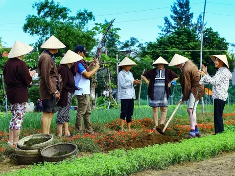 Làng rau Trà Quế được công nhận "Làng Du lịch tốt nhất" năm 2024