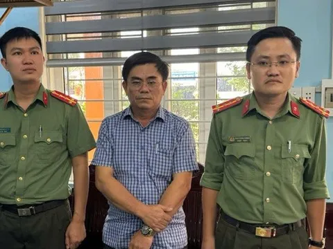 Khởi tố 11 bị can liên quan đến vụ án cây xanh xảy ra tại Quảng Bình