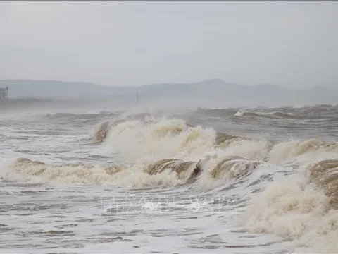 Siêu bão Man-yi khiến biển động dữ dội; bão Usagi suy yếu thành áp thấp nhiệt đới