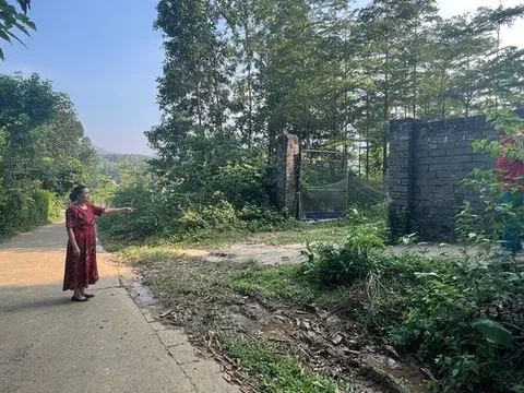 Hà Nội: Tránh oan sai trong vụ án hủy hoại tài sản tại Công ty TNHH Bình Minh