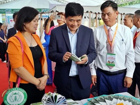 Ba trụ cột chính của ngành lâm nghiệp