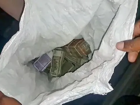 Phát hiện hơn 600 triệu đồng tiền mặt giấu trong đống phân bò