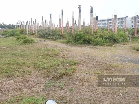 Đẩy nhanh tiến độ triển khai Dự án Nhà ở xã hội Công đoàn tại Bến Tre