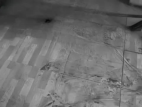 Nghi vấn chồng dùng bình cứu hỏa đánh vợ tử vong rồi tự sát