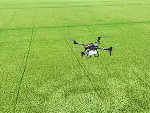 Đẩy mạnh nghiên cứu thuốc BVTV sinh học