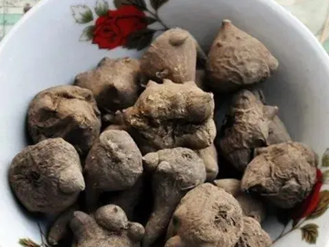 Ăn loại củ bề ngoài "xấu xí" để tăng sức khỏe, người đàn ông bỗng ngất xỉu