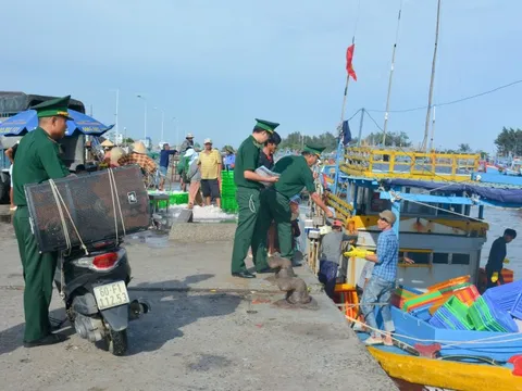 Bà Rịa-Vũng Tàu: Không để tàu cá 3 không xuất bến