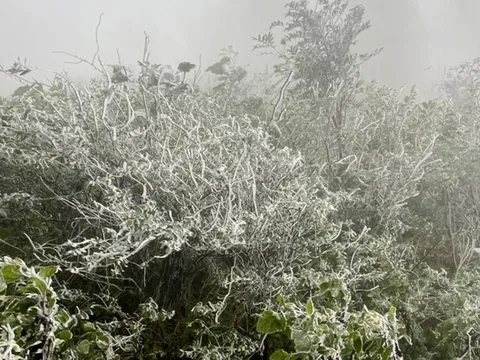 Dự báo cuối tháng 12 xuất hiện các đợt rét đậm, rét hại kéo dài