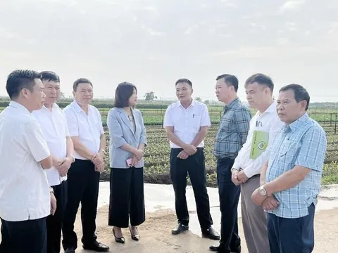 ​ Tăng cường kết nối, đẩy mạnh tiêu thụ sản phẩm cho các hộ sản xuất