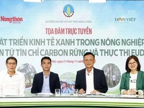 Carbon cây rừng hấp thụ là nguồn tài chính bền vững