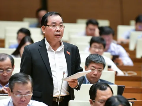 "Đưa Hải Phòng thành Singapore thứ hai"