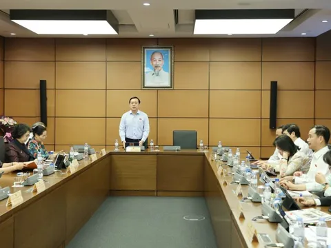 Cân nhắc lộ trình phù hợp tăng thuế tiêu thụ đặc biệt với rượu, bia