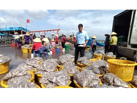 Bà Rịa-Vũng Tàu nỗ lực hoàn thiện khuyến nghị của EC về chống khai thác IUU