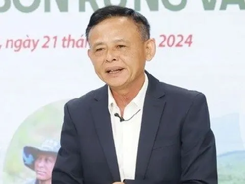 5 vấn đề cần thực hiện để vận hành được sàn giao dịch tín chỉ carbon