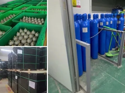 Phá đường dây nhập lậu hơn 7.300 tấn khí cười, trị giá 5,2 triệu USD