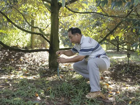 Ngành nông nghiệp Bà Rịa-Vũng Tàu chủ động thích ứng với biến đổi khí hậu