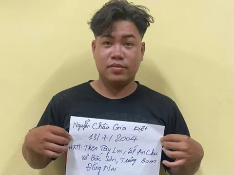 Bắt đối tượng ngụy trang rồi xông vào nhà dân cướp tài sản