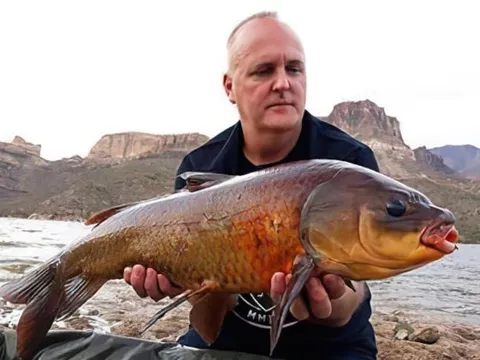 Bí ẩn về loài cá kỳ lạ "thọ" hơn 100 tuổi giữa sa mạc khô cằn