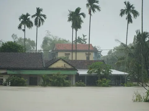 Quảng Ngãi khẩn trương khắc phục hạ tầng giao thông sau mưa lũ