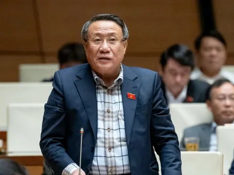 ĐBQH: Chưa nước nào đánh cùng lúc 2 loại thuế với xăng như Việt Nam