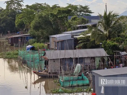 Cà Mau chi hơn 235 tỷ đồng xóa nhà tạm, nhà dột nát