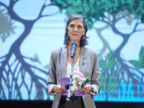 Câu chuyện thành công về giảm nghèo của Việt Nam qua lăng kính UNDP