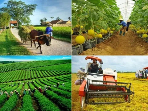 Phê duyệt danh sách thành viên Ban Chỉ đạo quốc gia về kinh tế tập thể
