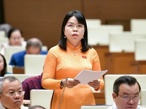 Đề xuất cho HĐND giám sát hoạt động của cơ quan Trung ương tại địa phương