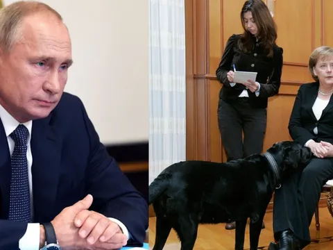Ông Putin xin lỗi cựu Thủ tướng Đức Angela Merkel