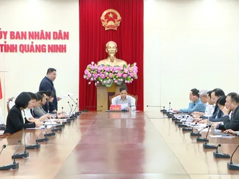 Quảng Ninh: 10/11 địa phương hoàn thành hỗ trợ xây sửa nhà bị hỏng do bão Yagi