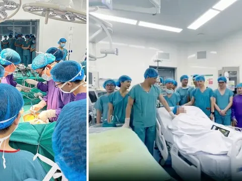 Thần tốc phối hợp thực hiện lấy, ghép đa tạng từ người cho chết não