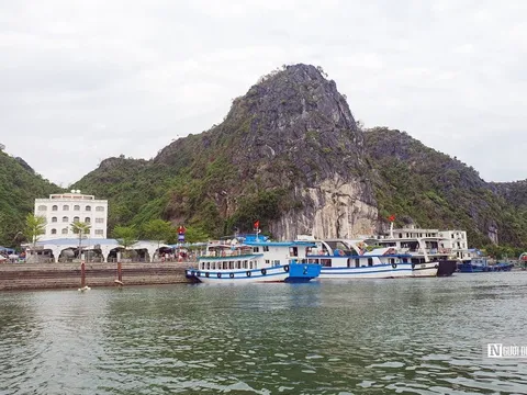 Bao giờ tiếp tục dịch vụ chèo thuyền kayak trên vịnh Cát Bà?