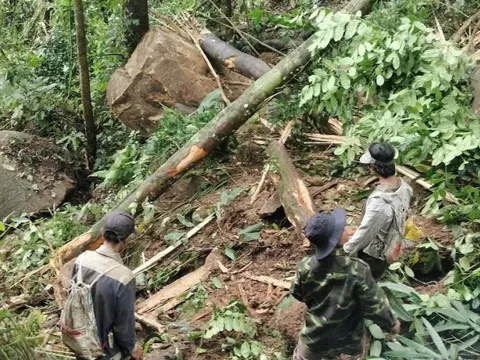 Chuyên gia nói gì về hiện tượng lở đá tại Quảng Nam do động đất liên tiếp