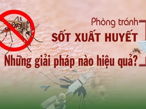 13H Tọa đàm: Phòng tránh sốt xuất huyết - Những giải pháp nào hiệu quả?