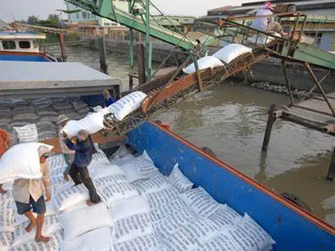 Xuất khẩu gạo vượt mốc 8 triệu tấn