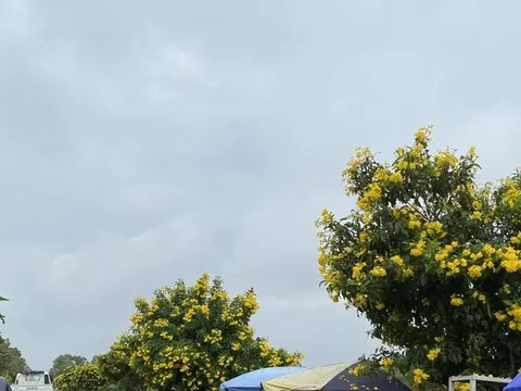 Rạch Giá một chuyến về