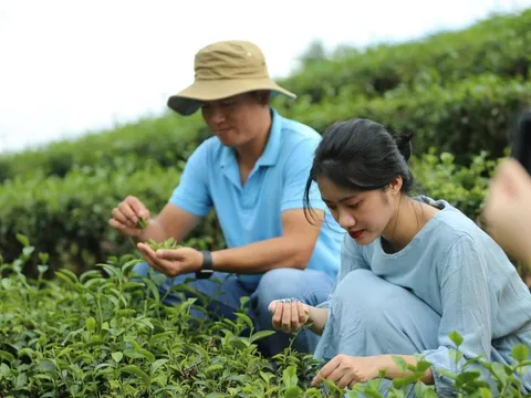 Lần đầu tiên tổ chức Hội nghị quốc tế toàn cầu về Du lịch Nông thôn tại Việt Nam