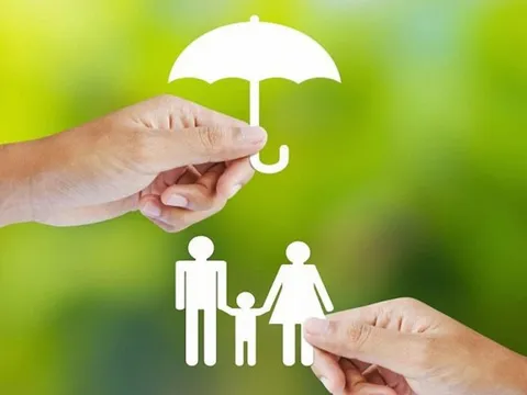 Bảo hiểm đã tạm ứng 471 tỷ đồng bồi thường thiệt hại sau bão Yagi