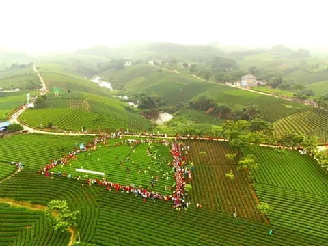 Cầu nối mở rộng liên kết để phát triển du lịch