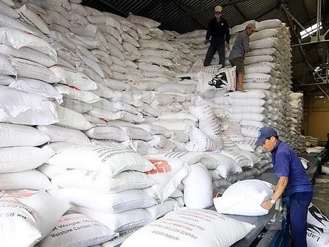 Xuất cấp gạo từ nguồn dự trữ quốc gia cho 3 tỉnh bị ảnh hưởng cơn bão số 3