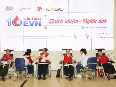 Triển khai Tuần lễ hồng EVN lần thứ X