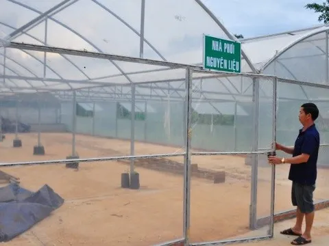 Sử dụng hiệu quả nguồn vốn trong thúc đẩy phát triển nông nghiệp