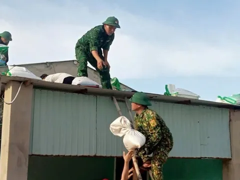 Quảng Nam tổ chức nhiều hoạt động kỷ niệm 80 năm Ngày thành lập Quân đội Nhân dân Việt Nam