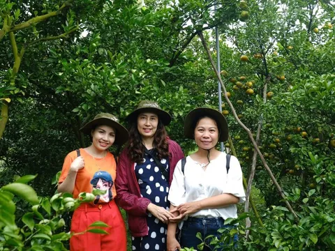 Hợp tác công – tư thúc đẩy thực hành sản xuất bền vững