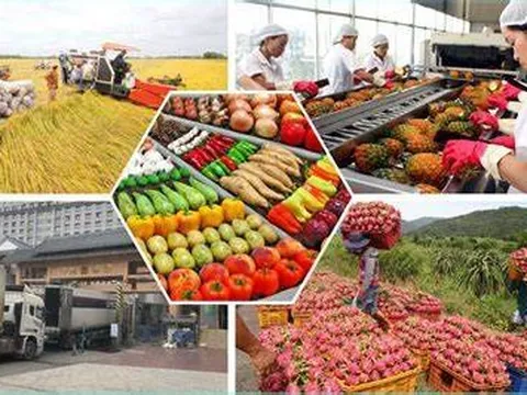 Nông sản Việt có cơ hội lớn tại Vương quốc Anh