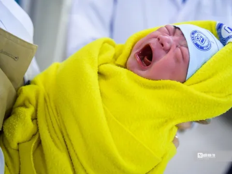 Dân số Việt Nam chịu ảnh hưởng vì mức sinh ngày càng xuống thấp